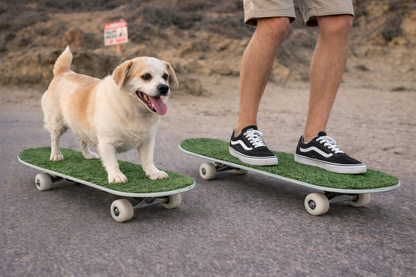 Turfskate