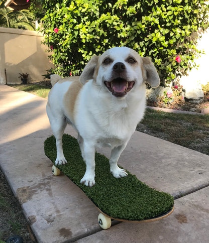 Turfskate